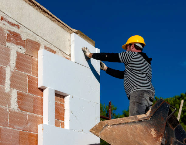 Best Blown-in Insulation  in Omaha, TX