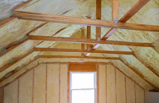 Best Insulation Contractor Near Me  in Omaha, TX