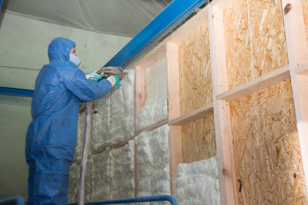 Professional Insulation Contractor in Omaha, TX