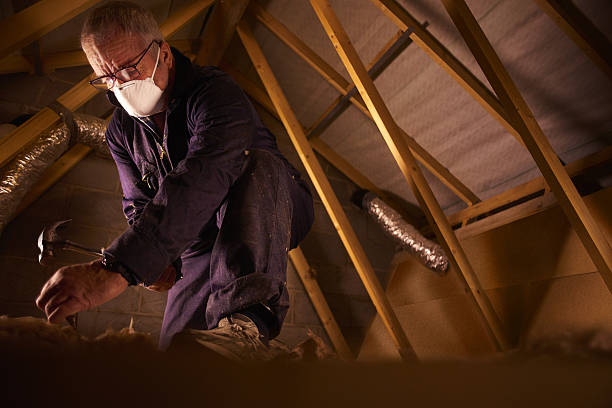 Best Attic Insulation Installation  in Omaha, TX
